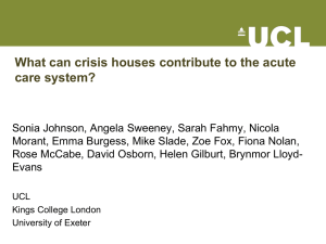 What can crisis houses contribute to the acute care system?