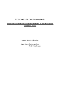 UCL CoMPLEX Case Presentation 2: circadian clock