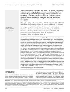 Alkalilimnicola ehrlichii sp. nov., a novel, arsenite- oxidizing haloalkaliphilic gammaproteobacterium