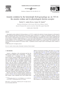Arsenite oxidation by the heterotroph Hydrogenophaga sp. str. NT-14: