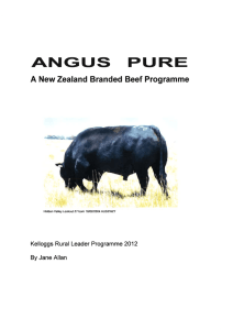 ANGUS  PURE A New Zealand  Branded  Beef Programme By