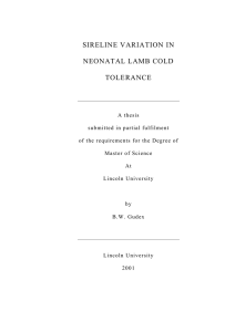SIRELINE VARIATION IN NEONATAL LAMB COLD TOLERANCE
