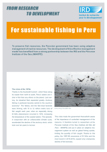 For sustainable fishing in Peru From research to develoPment