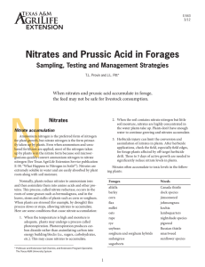 Nitrates and Prussic Acid in Forages Sampling, Testing and Management Strategies