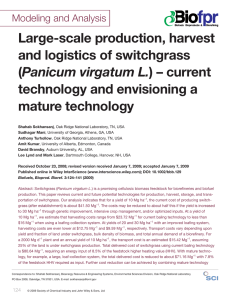 Large-scale production, harvest and logistics of switchgrass Panicum virgatum L.