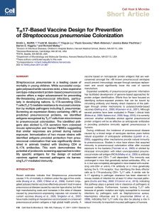 Short Article T 17-Based Vaccine Design for Prevention Streptococcus pneumoniae Colonization