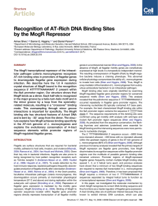 Article Recognition of AT-Rich DNA Binding Sites by the MogR Repressor Structure