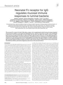 Neonatal Fc receptor for IgG regulates mucosal immune responses to luminal bacteria
