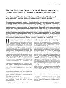 sst1 Listeria monocytogenes