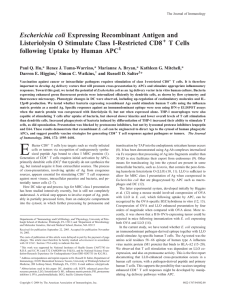 Escherichia coli Listeriolysin O Stimulate Class I-Restricted CD8 T Cells