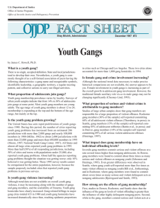 Youth Gangs What is a youth gang?