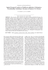 Xyleborus glabratus Circulionidae: Scolytinae) Invasion in Eastern U.S. Forests