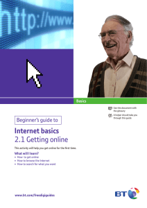 Internet basics 2.1 Getting online Beginner’s guide to Basics