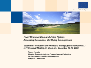 Food Commodities and Price Spikes: Assessing the causes, identifying the responses