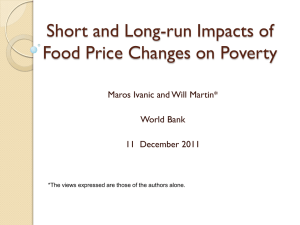 Short and Long-run Impacts of Food Price Changes on Poverty