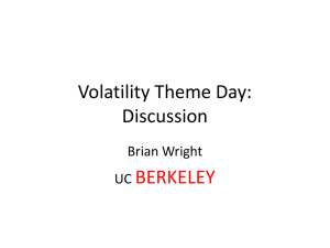 Volatility Theme Day: Discussion BERKELEY Brian Wright