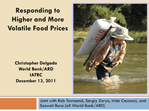 Responding to Higher and More Volatile Food Prices Christopher Delgado