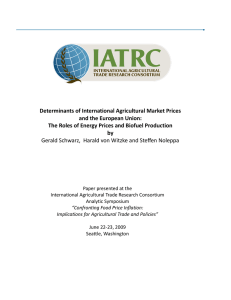 Determinants of International Agricultural Market Prices and the European Union:
