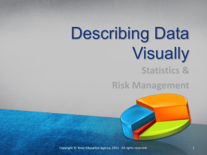 Describing Data Visually Statistics &amp; Risk Management