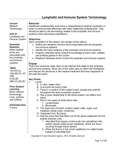 Lymphatic and Immune System Terminology