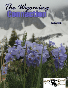 he Wyoming T Connection Spring  2016