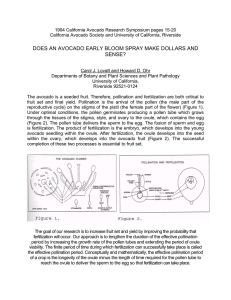 1994 California Avocado Research Symposium pages 15-20