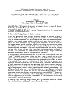 1996 Avocado Research Symposium pages 67-69