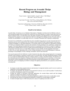 Recent Progress on Avocado Thrips Biology and Management