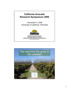 California Avocado Research Symposium 2006 November 4, 2006 University of California, Riverside