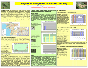 Progress in Management of Avocado Lace Bug 4. Pesticide Trial: INTRODUCTION
