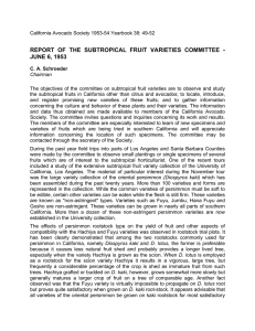 REPORT OF THE SUBTROPICAL FRUIT VARIETIES COMMITTEE - JUNE 6, 1953