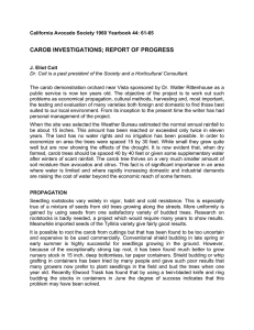 CAROB INVESTIGATIONS; REPORT OF PROGRESS