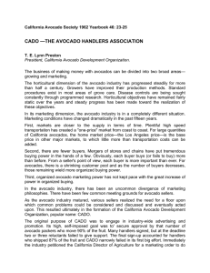 CADO —THE AVOCADO HANDLERS ASSOCIATION