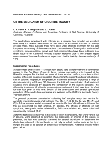 ON THE MECHANISM OF CHLORIDE TOXICITY