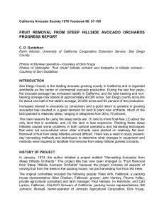 FRUIT REMOVAL FROM STEEP HILLSIDE AVOCADO ORCHARDS PROGRESS REPORT