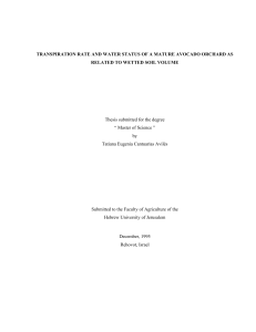 Thesis submitted for the degree “ Master of Science ” by