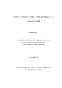 A Three-Dimensional Model of the Light Regime in an Avocado Orchard