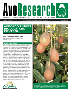 AVOCADO THRIPS BIOLOGY AND CONTROL Historical Review