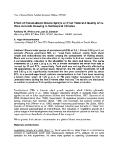 Effect of Paclobutrazol Bloom Sprays on Fruit Yield and Quality... Hass Avocado Growing in Subtropical Climates