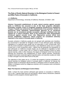 The Role of Exotic Natural Enemies in the Biological Control... and Mite Pests of Avocado in California