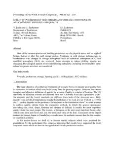 Proceedings of The World Avocado Congress III, 1995 pp.