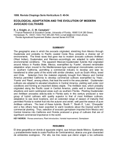 ECOLOGICAL ADAPTATION AND THE EVOLUTION OF MODERN AVOCADO CULTIVARS
