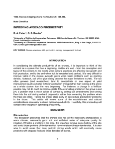 IMPROVING AVOCADO PRODUCTIVITY B. A. Faber ; G. S. Bender