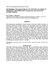 DETERMINING THE SUSCEPTIBILITY OF AVOCADO CULTIVARS TO Oligonychus perseae TETRANYCHIDAE)