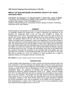 IMPACT OF SUN EXPOSURE ON HARVEST QUALITY OF ‘HASS’ AVOCADO FRUIT