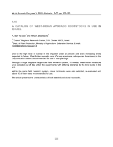 A CATALOG OF WEST-INDIAN AVOCADO ROOTSTOCKS IN USE IN ISRAEL A-66