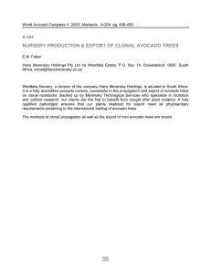 NURSERY PRODUCTION &amp; EXPORT OF CLONAL AVOCADO TREES A-204