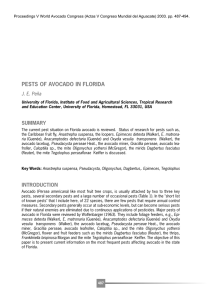 PESTS OF AVOCADO IN FLORIDA J. E. Peña