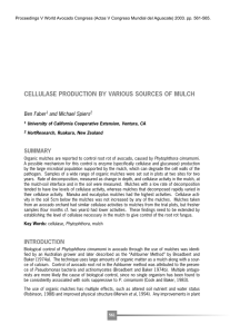 CELLULASE PRODUCTION BY VARIOUS SOURCES OF MULCH SUMMARY Ben Faber and Michael Spiers