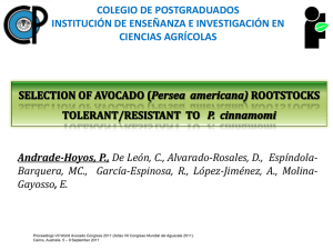 COLEGIO DE POSTGRADUADOS INSTITUCIÓN DE ENSEÑANZA E INVESTIGACIÓN EN CIENCIAS AGRÍCOLAS Andrade-Hoyos, P.,
